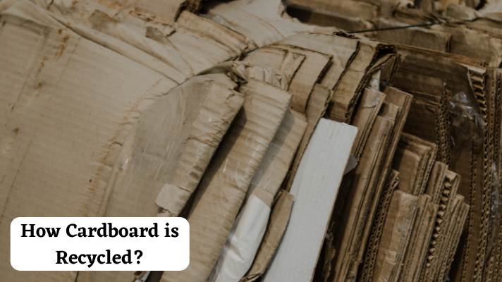 How Cardboard is Recycled?