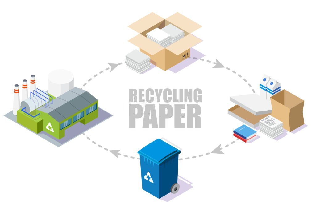 Analyse the Paper Recycling Process Step By Step Guide To Perceive Its Ecological Implications